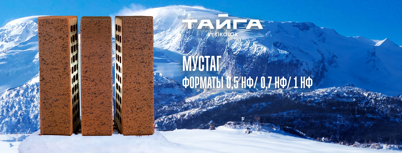 Кирпич в Иркутске — слайд 23